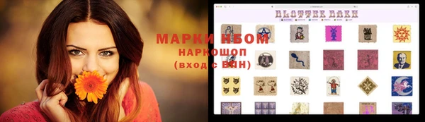 гидропоника Белоозёрский
