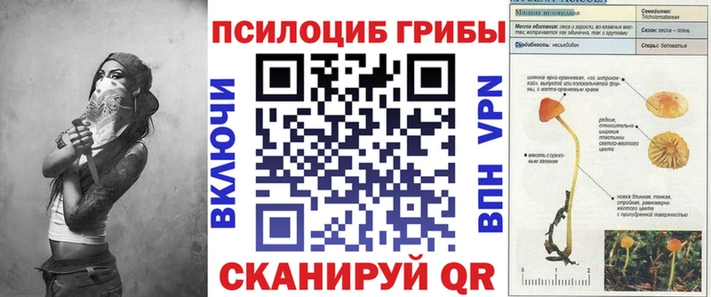 Галлюциногенные грибы прущие грибы  Олёкминск 